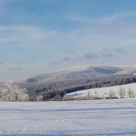Rodinny Apartman 3+1 Horni Mesto Dış mekan fotoğraf