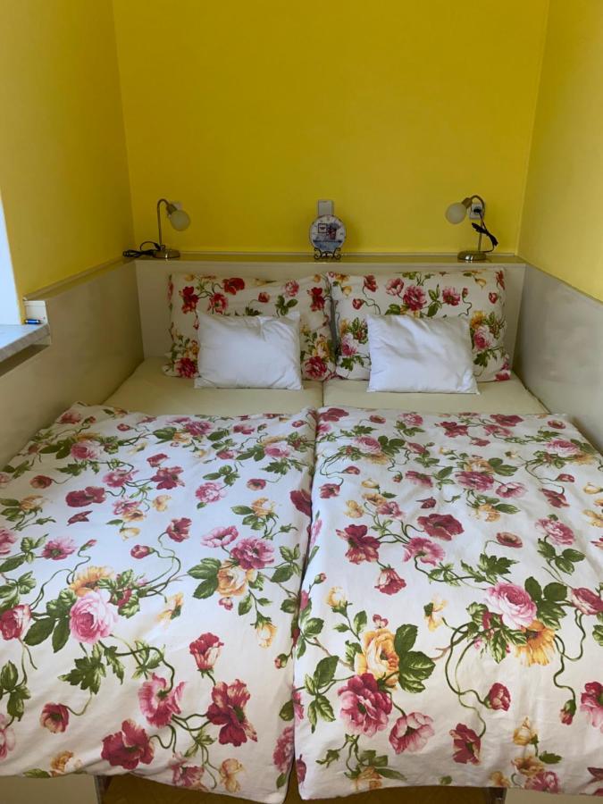Rodinny Apartman 3+1 Horni Mesto Dış mekan fotoğraf