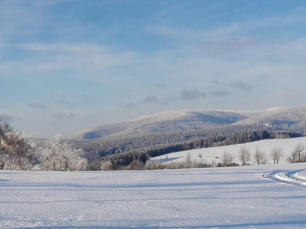 Rodinny Apartman 3+1 Horni Mesto Dış mekan fotoğraf